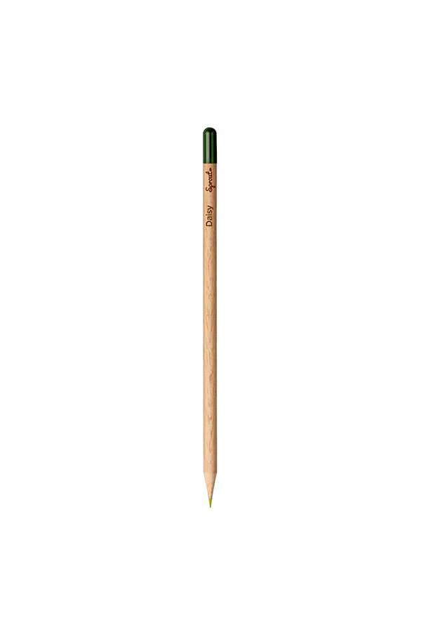 Customized Color Pencil - Daisy