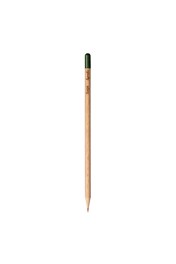 Customized Color Pencil - Sage